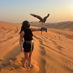 Falconry