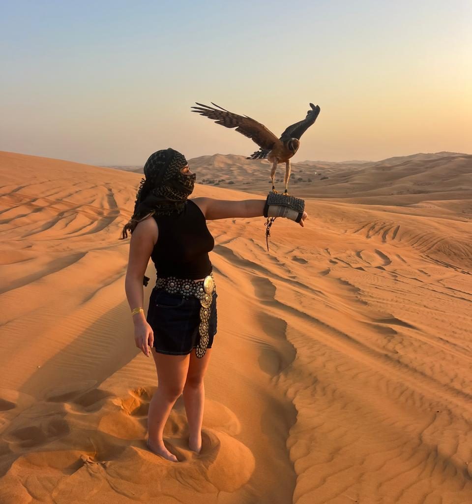 Falconry