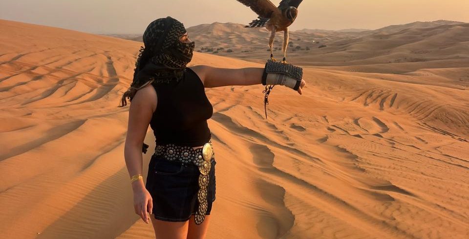 Falconry