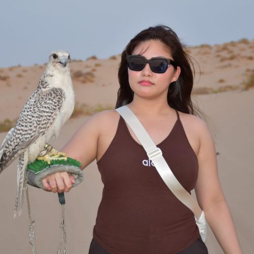 VIP desert Safari Abu Dhabi