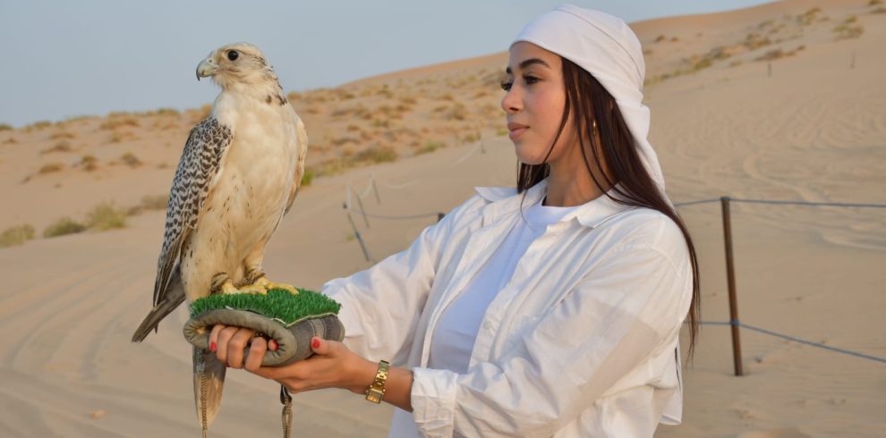 Falconry photography in Desert Safari