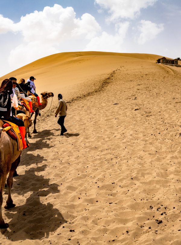 Camel Ride