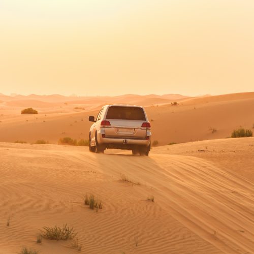 Dune Bashing