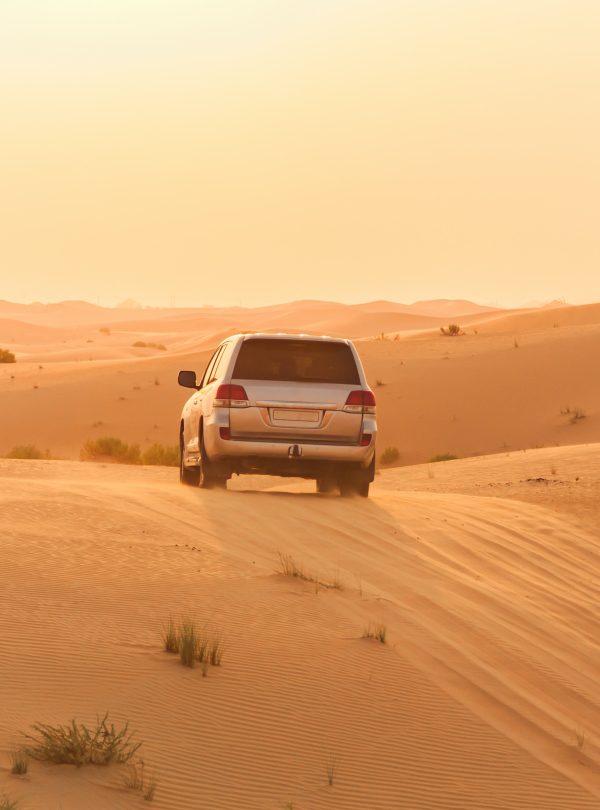 Dune Bashing