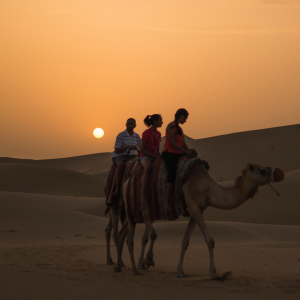 desert safari in abu dhabi camel ride