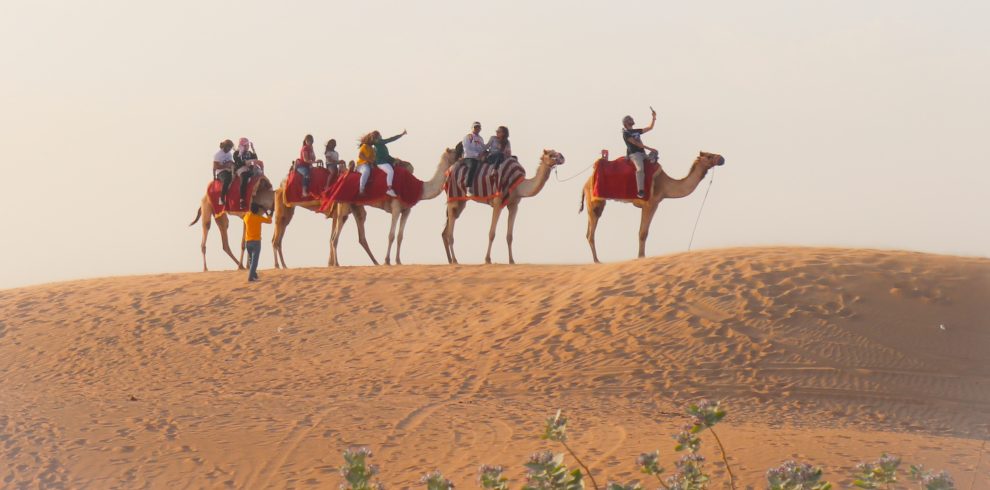 Camel Ride