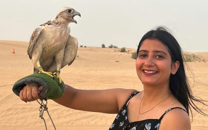 falconry Show