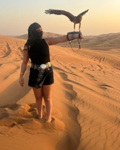 Falconry Photo